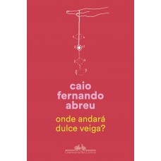 Onde Andará Dulce Veiga?: Um Romance B