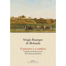 O Pássaro E A Sombra