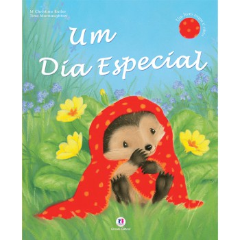 Um Dia Especial