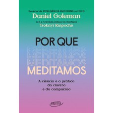 Por Que Meditamos: A Ciência E A Prática Da Clareza E Da Compaixão