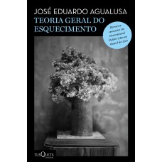 Teoria Geral Do Esquecimento: (biblioteca José Eduardo Agualusa)