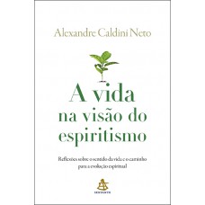 A Vida Na Visão Do Espiritismo: Reflexões Sobre O Sentido Da Vida E O Caminho Para A Evolução Espiritual