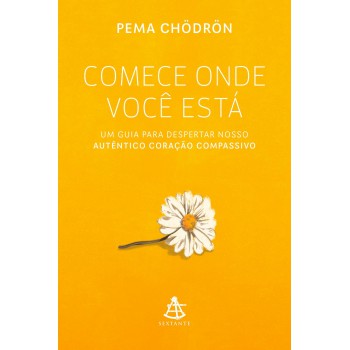 Comece Onde Você Está: Um Guia Para Despertar Nosso Autêntico Coração Compassivo