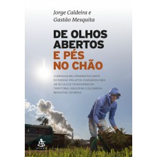 De Olhos Abertos E Pés No Chão: Uma Grande Epopeia De Empreendedorismo No Brasil