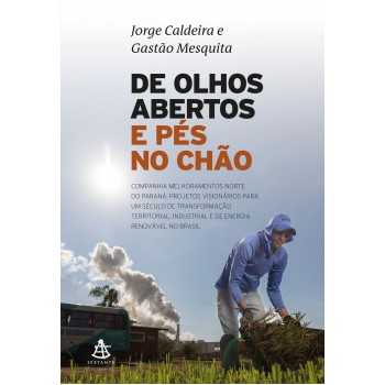 De Olhos Abertos E Pés No Chão: Uma Grande Epopeia De Empreendedorismo No Brasil