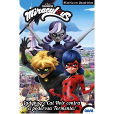 Miraculous Ladybug - Ladybug E Cat Noir Contra A Poderosa Tormenta!