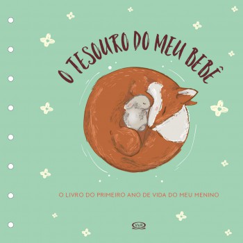 Tesouro Do Meu Bebê: O Livro De Recordações (capa Verde)