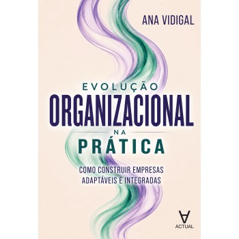 Evolução Organizacional Na Prática