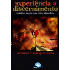 Experiência E Discernimento Experiência E Discernimento