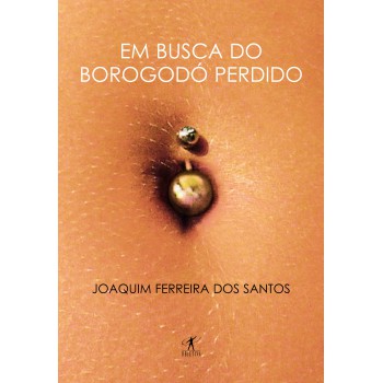 Em Busca Do Borogodó Perdido