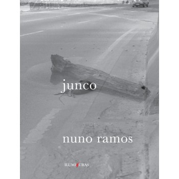 Junco