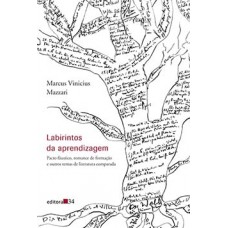 LABIRINTOS DA APRENDIZAGEM: PACTO FÁUSTICO, ROMANCE DE FORMAÇÃO E OUTROS TEMAS DE LITERATURA COMPARADA