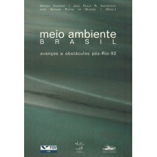 Meio ambiente Brasil: avanços e obstáculos pós Rio-92