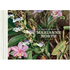 A viagem ao Brasil de Marianne North