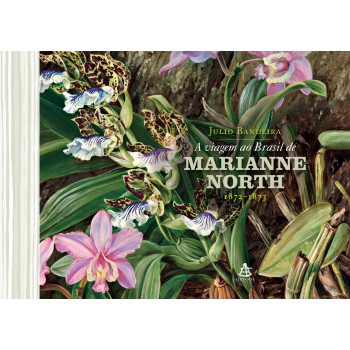 A viagem ao Brasil de Marianne North