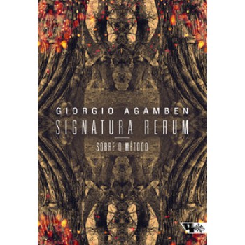 SIGNATURA RERUM: SOBRE O MÉTODO