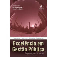 Excelência Em Gestão Pública: Espaços Para Atuação