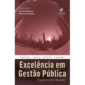 Excelência Em Gestão Pública: Espaços Para Atuação