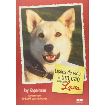 Lições De Vida De Um Cão Chamado Lava