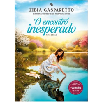 O Encontro Inesperado - Nova Edição