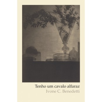 Tenho Um Cavalo Alfaraz