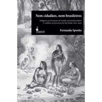 Nem Cidadãos, Nem Brasileiros: Indígenas Na Formação Do Estado Nacional Brasileiro E Conflitos Na Província De São Paulo (1822-1845)