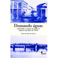 Domando águas: Salubridade E Ocupação Do Espaço Na Cidade De São Paulo, 1875-1930