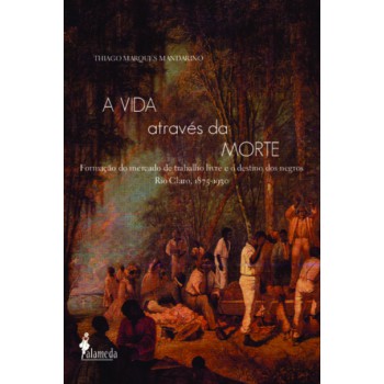 A Vida Através Da Morte: Ormação Do Mercado De Trabalho Livre E O Destino Dos Negros - Rio Claro, 1875-1930