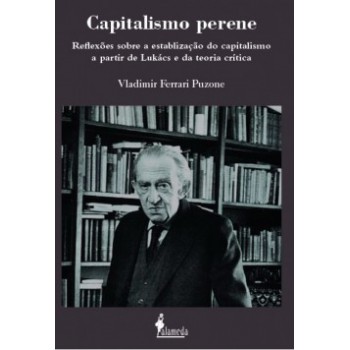 Capitalismo Perene: Reflexões Sobre A Estabilização Do Capitalismo A Partir De Lukács E Da Teoria Crítica