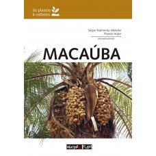 Macaúba: Do Plantio à Colheita