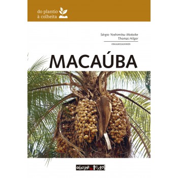 Macaúba: Do Plantio à Colheita