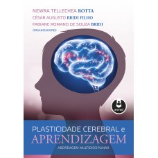 Plasticidade Cerebral E Aprendizagem: Abordagem Multidisciplinar