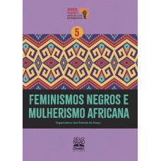 Feminismos Negros E Mulherismo Africana