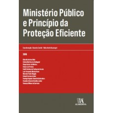 Ministério Público E Princípio Da Proteção Eficiente