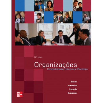 Organizações: Comportamentos, Estrutura E Processos