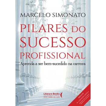 Pilares Do Sucesso Profissional