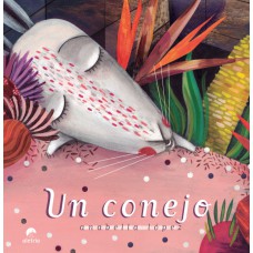 Un Conejo
