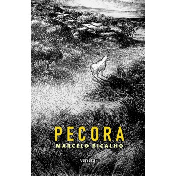 Pecora