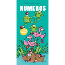 Meu Grande Livro De Números