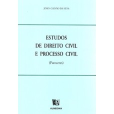 Estudos De Direito Civil E Processo Civil: (pareceres)