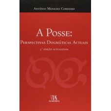 A Posse: Perspectivas Dogmáticas Actuais