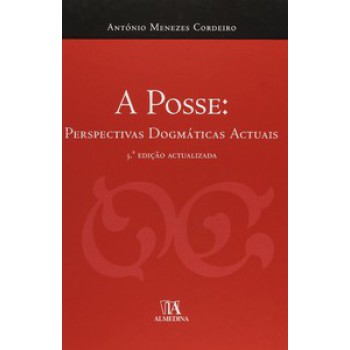 A Posse: Perspectivas Dogmáticas Actuais