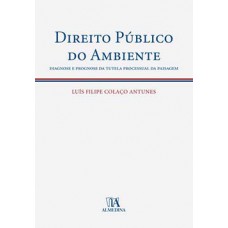 Direito Público Do Ambiente: Diagnose E Prognose Da Tutela Processual Da Paisagem