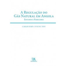 A Regulação Do Gás Natural Em Angola: Estudos E Pareceres