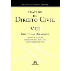 Tratado De Direito Civil: Direito Das Obrigações - Gestão De Negócios, Enriquecimento Sem Causa, Responsabilidade Civil