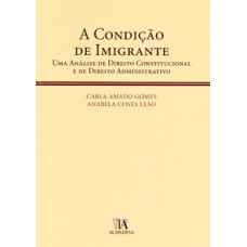 A Condição De Imigrante: Uma Análise De Direito Constitucional E De Direito Administrativo