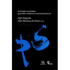 Economia Solidária: Questões Teóricas E Epistemológicas