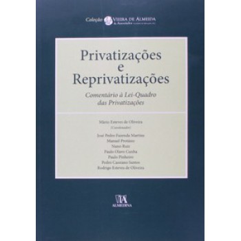 Privatizações E Reprivatizações: Comentário à Lei-quadro Das Privatizações