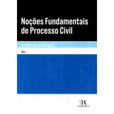 Noções Fundamentais De Processo Civil