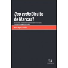 Quo Vadis Direito De Marcas?: Reflexão Sobre A Necessidade De Redimensionamento Do Seu Alcance A Partir Da Tutela Da Marca De Prestígio